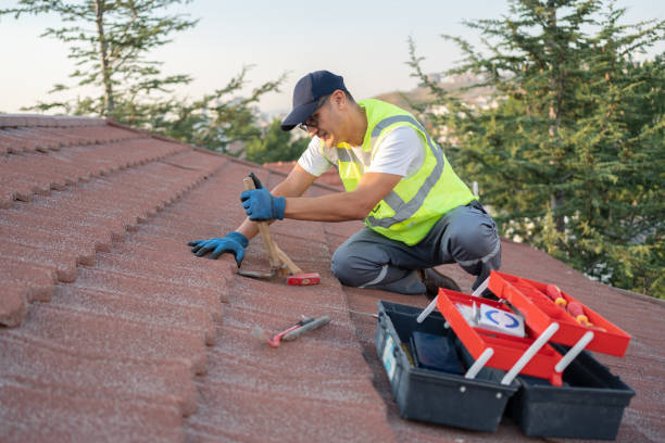 Best Roof Repair Services  in Union City, OH